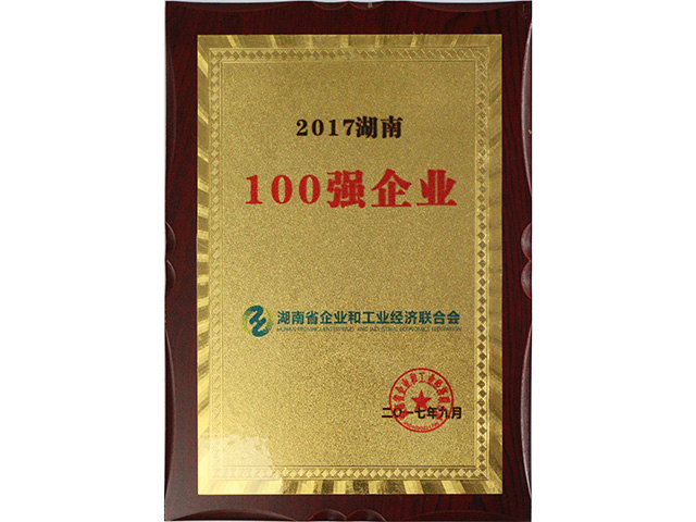 2017湖南100强企业